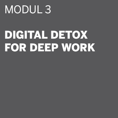THE DIGITAL DETOX® | Seminar Modul 3: Digital Detox for Deep Work